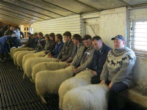 speed dating wales